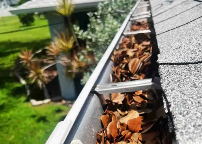 Gutter Cleaning Green home page